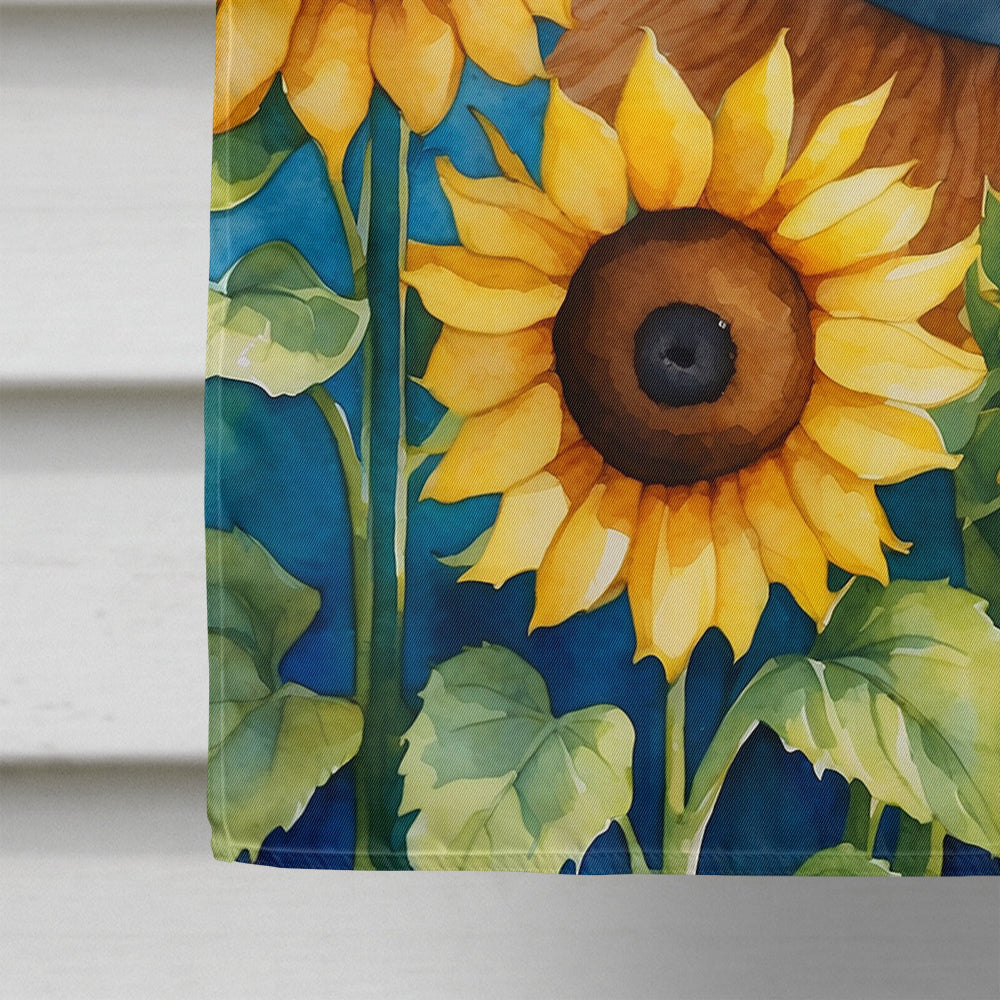 Glamorous Pups : Norfolk Terrier in Sunflowers House Flag