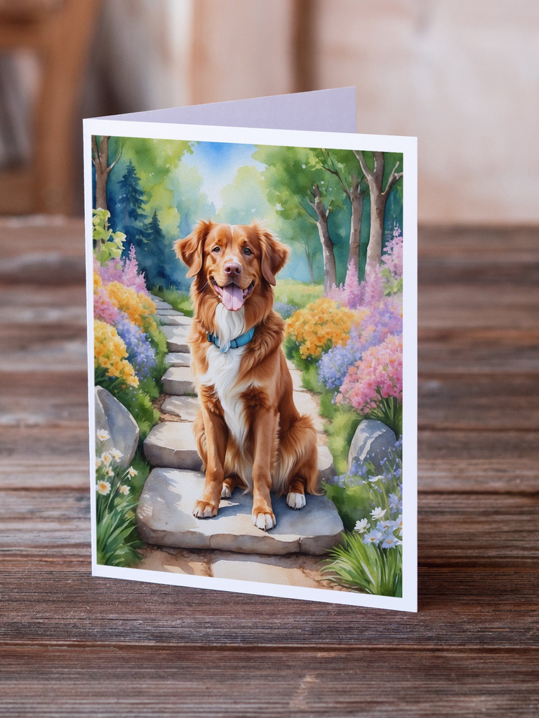 Glamorous Pups : Nova Scotia Duck Tolling Retriever Spring Path Greeting Cards Pack of 8