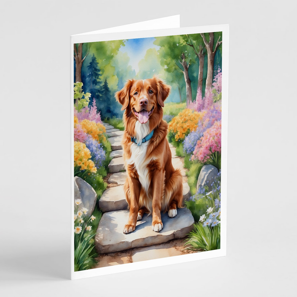 Glamorous Pups : Nova Scotia Duck Tolling Retriever Spring Path Greeting Cards Pack of 8