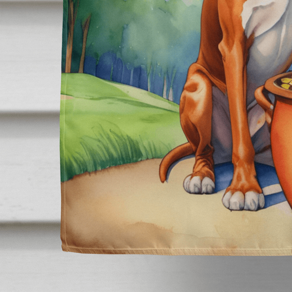 Glamorous Pups : Red Redbone Coonhound St Patrick's Day House Flag