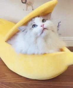 A fluffy white cat with striking eyes peeks out from a cozy Banana Cat Bed, a popular product from Zendrop available at Glamorous Pups. This unique and playful cat bed enhances any room, promising comfort and style for your feline friend.